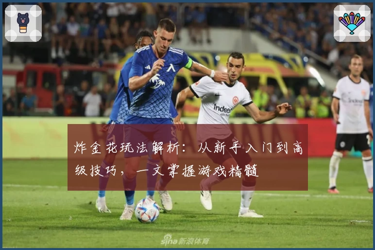 炸金花玩法解析：从新手入门到高级技巧，一文掌握游戏精髓