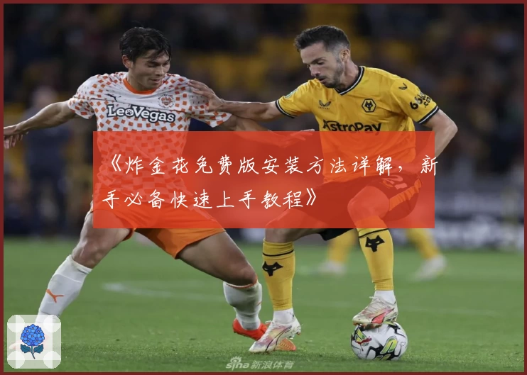 《炸金花免费版安装方法详解，新手必备快速上手教程》