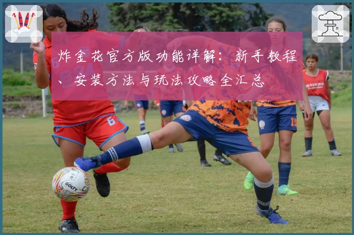 炸金花官方版功能详解：新手教程、安装方法与玩法攻略全汇总