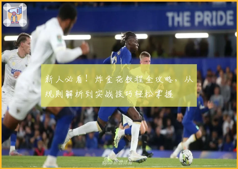 新人必看!炸金花教程全攻略,从规则解析到实战技巧轻松掌握