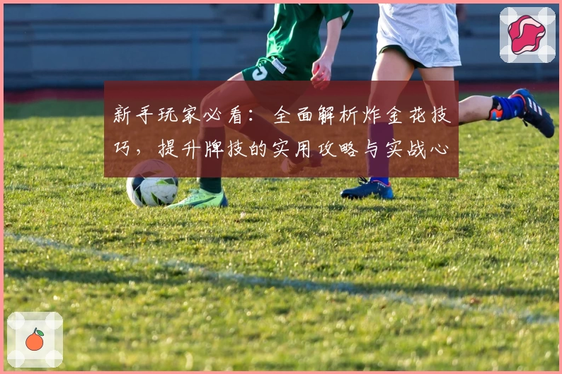 新手玩家必看:全面解析炸金花技巧,提升牌技的实用攻略与实战心得